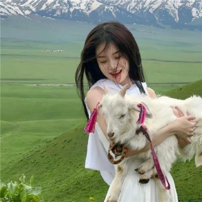 少年骇客:全面进化第四季